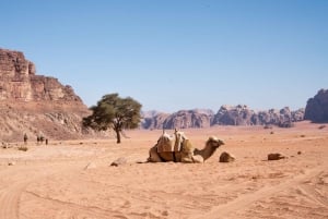 From Cairo: 7-Day (6-Nights) Package Egypt and Jordan Tour