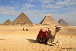 Pacote de 8 dias e 7 noites para as pirâmides, Luxor e Aswan por via aérea