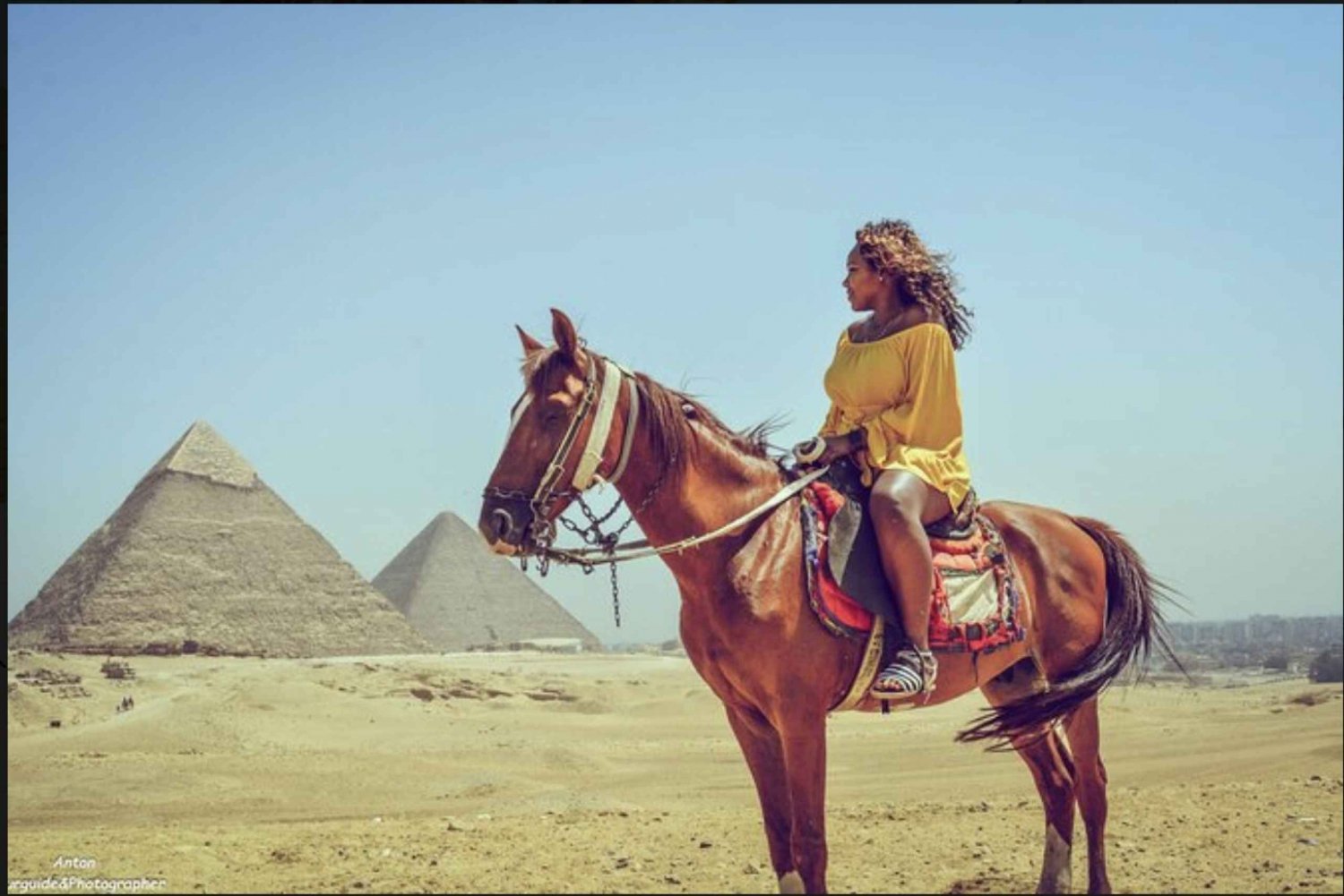 Private Arabian Horses Ride at the Pyramids With Pickup