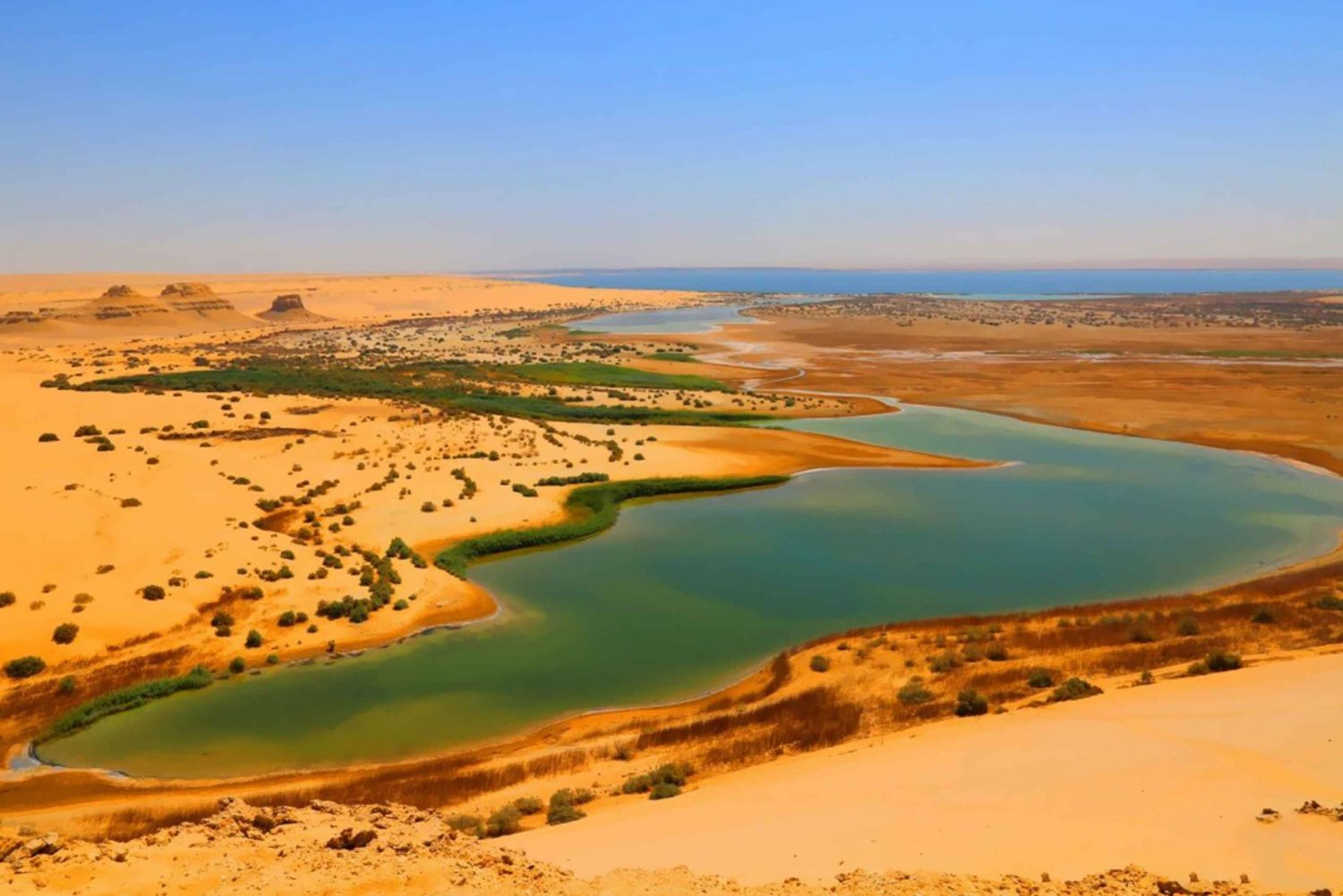 Privat tur til El Fayoum-oasen og Wadi Rayan-vandfaldet