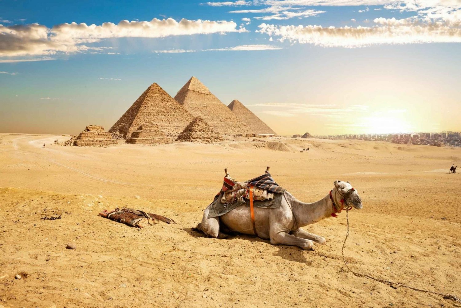 Privat tur med kamel till Giza, pyramiderna och Egyptiska museet