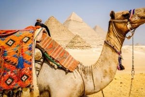 Pyramidene i Egypt: Heldagstur med egyptologguide