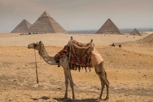 Pirámides de Guiza Ticket de entrada sin colas