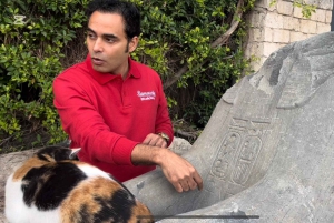 Пирамиды, Саккара и Мемфис Частный тур с обедом