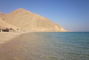Tour rilassante di un giorno a El Ain El Sokhna Mar Rosso