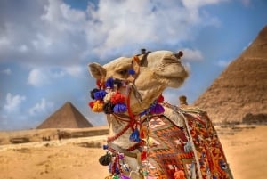 Safaga: Kairo & Giza Pyramider, Museum & Båtfärd på Nilen