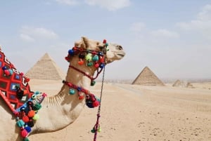 Sahl Hashesh: Giza & Sakkara-pyramiderne & Khan el-Khalili Souk