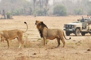 Sharm El-Sheikh : 10 jours d'excursion en Égypte, ballon, vols