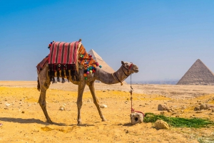Sharm El Sheikh: Cairo Pyramids, Sphinx, and Egyptian Museum