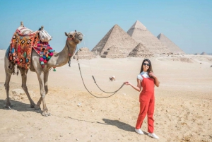From Sharm El-Sheikh: Cairo & Pyramids Private Tour w/ Lunch