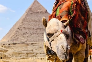 シャルム エル シェイク：ギザ高原とエジプト考古学博物館の日帰り旅行