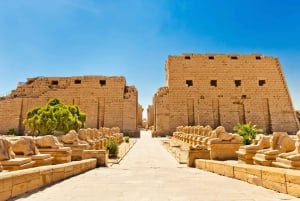 Cairo: Private Day Tour to Luxor with Sleeper train