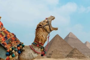 Przejażdżka na wielbłądzie o wschodzie słońca, prywatna wycieczka do piramid i lokalne śniad