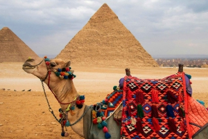 Paseo en camello al amanecer, tour privado a las pirámides y desayuno local.