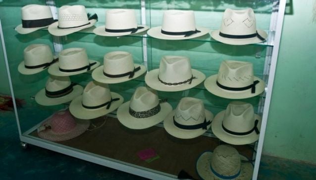 Becal Panama Hats