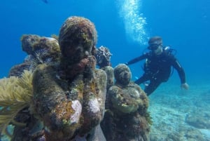 Beginners Underwater Museum & Reef Scuba Diving
