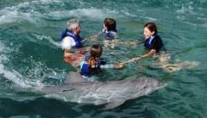 Delphinus Dreams Cancun