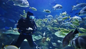 Diving Center
