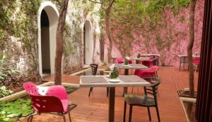 Rosas & Xocolate Restaurant