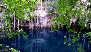 Yokdzonot eco-turistic cenote