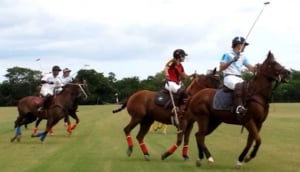 Yucatan Polo Club