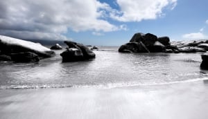 Green Point Urban Park