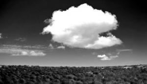Climb Table Mountain