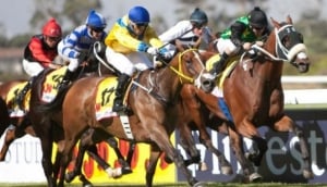 The Big 4: Cape Town's Top Sporting Events