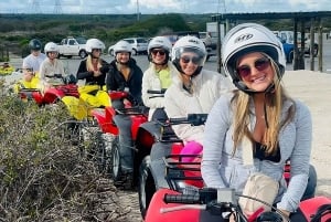 Cape Town: 1-hour Quad Biking Experience at Atlantis Dunes