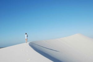 Cape Town: 1-hour Quad Biking Experience at Atlantis Dunes