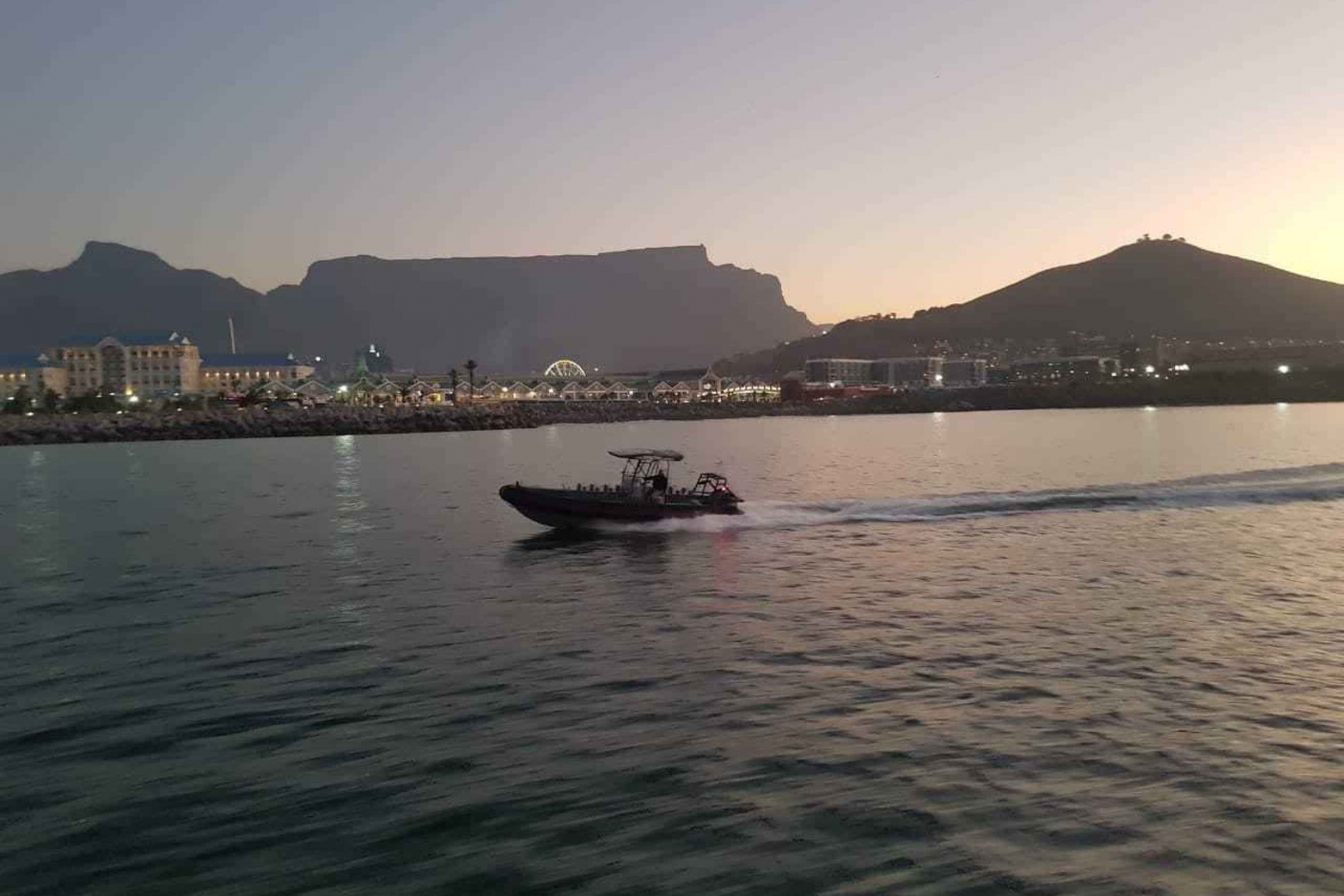 Cape Town: 1-Hour Sunrise Ocean Safari