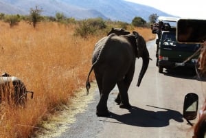 10 Days Overland Tour-Johannesburg and Cape Town