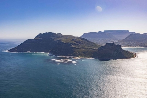 Vol en hélicoptère du Cap vers Camps Bay et Hout Bay - 16 minutes