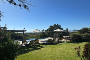 Safari de 2 jours au Cap avec les Big 5, les pingouins et le cap Agulhas