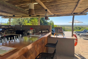 Safari de 2 jours au Cap avec les Big 5, les pingouins et le cap Agulhas