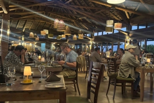 Safari de 2 jours au Cap avec les Big 5, les pingouins et le cap Agulhas