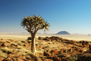 2-dagers Inverdoorn-safari – Big Five Cape Town-opplevelse