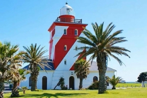 2 Hour Electric Scooter Tour from Sea Point to Waterfront