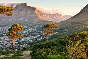 Rio: Salgueiro Samba School Rehearsal Admission w/ Transfer