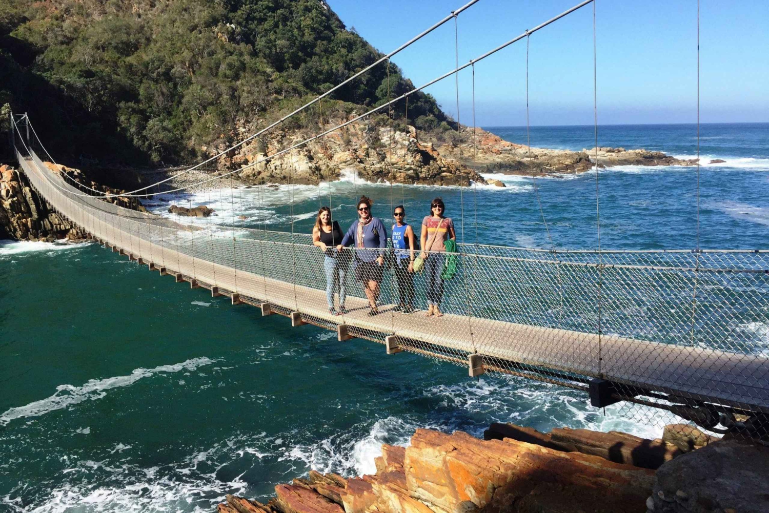 3 Daagse Tuinroute All-inclusive privétour vanuit Kaapstad