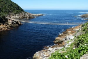 3 Tage Garden Route All-inclusive Private Tour ab Kapstadt