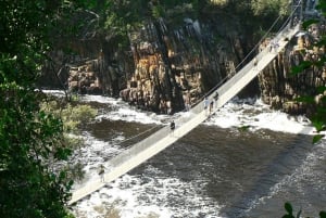 3-dages Garden Route alt-inklusiv privat tur fra Cape Town