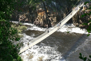 3 Daagse Tuinroute All-inclusive privétour vanuit Kaapstad