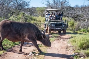 From Cape Town: 3-Day Garden Route Highlights Tour & Safari