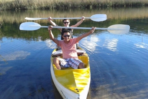 From Cape Town: 3-Day Garden Route Highlights Tour & Safari