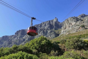 3-Daagse privé Tour: Goede Hoop Tafelberg & Robbeneiland