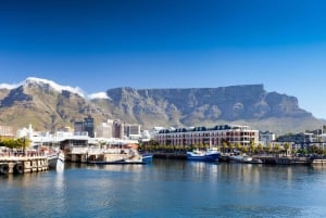 3 päivän yksityinen kiertomatka: Good Hope Table Mountain & Robben Island