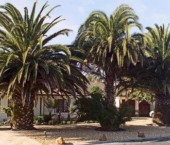 3 Palms Luxury Cottage Cape Town