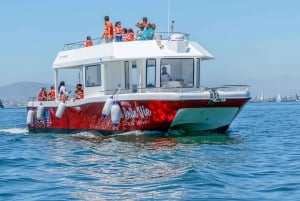 30min V&A Waterfront Harbour Cruise Cape Town