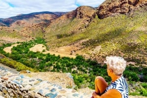 4 Day Cape Town Essential Tour & Big 5 Safari At Inverdoorn